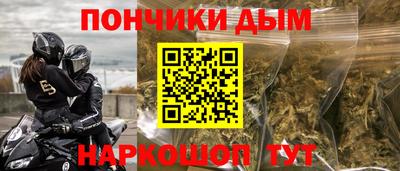 крисы Кулебаки