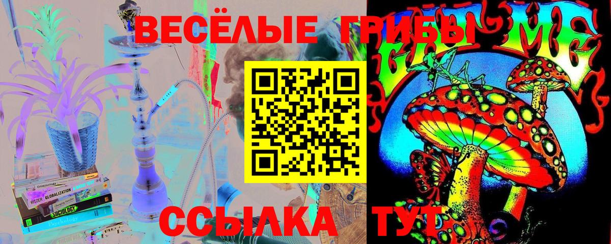 Галлюциногенные грибы GOLDEN TEACHER  Вход с VPN  Камень-на-Оби 